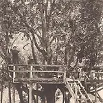 La Casa Del Gigante Frassino Daire