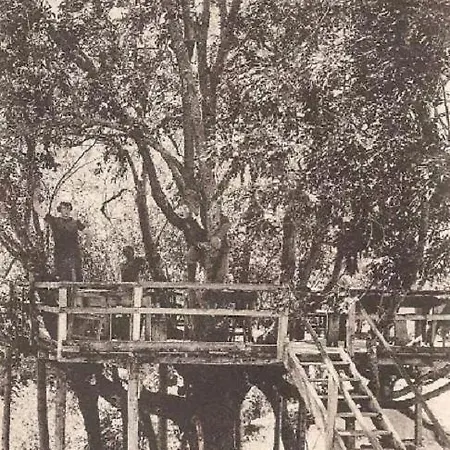 La Casa Del Gigante Frassino Appartement