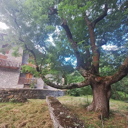 La Casa Del Gigante Frassino Acceglio